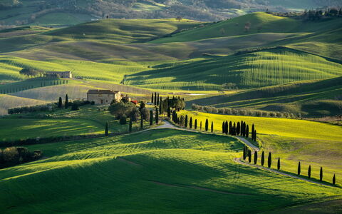 Oliveto del Cantarello: Erba, Paesaggio Naturale, Collina, Pascolo, Paesaggio, Highland, Campo, Plain, Area Rurale, Prato