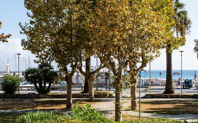 Due Passi dal Mare