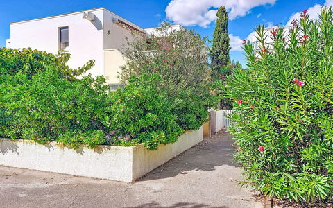 Le Barcarès 255: Arbusto, Giardino, Zona Residenziale, Comunita 'Impianto, Lotto, Groundcover, Landscaping, Backyard, Cortile