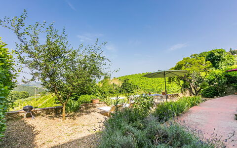 Ridaldi: Verde, Vegetazione, Arbusto, Paesaggio, Comunita 'Impianto, Giardino, Area Rurale, Groundcover, Primavera