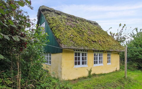 Thorfrid - 1Km from the Sea: Verde, Erba, Thatching, Giallo, Tetto, Casa, Villetta, Area Rurale, Lotto, Villaggio