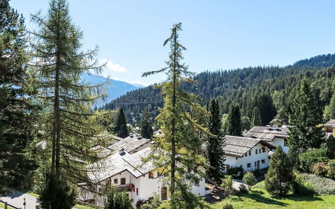 Spunda Biala: Albero, Casa, Casa, Larice, Villetta, Villaggio, Sempreverde, Paesino Di Montagna