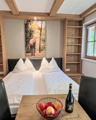 Cheeky Apartment 649.3