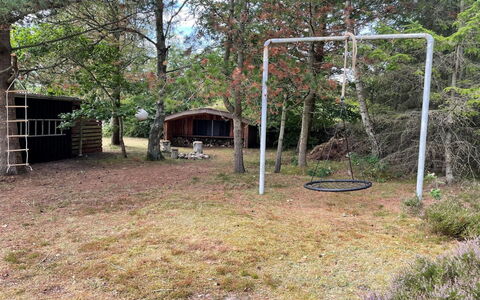 Sofija - from the Sea: Albero, Erba, Lotto, Giardino, Backyard, Woodland, Prato, Cortile, Shade, Suolo