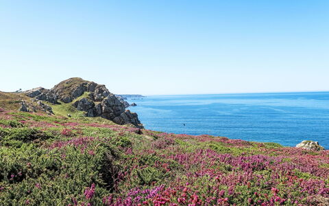 De Cap en Cap: Fiore, Costa, Mare, Orizzonte, Costiera E Morfologie Oceanic, Terreno, Comunita 'Impianto, Oceano, Groundcover, Promontorio