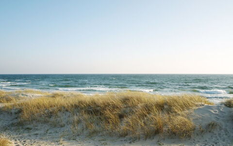 Rusalina - 20M from the Sea: Blu, Acqua, Giorno, Ambiente Naturale, Spiaggia, Orizzonte, Mare, Costa, Ecoregione