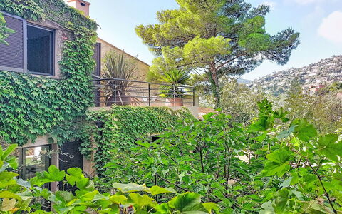 Villa 50: Vegetazione, Arbusto, Giardino, Shade, Sempreverde, Hedge