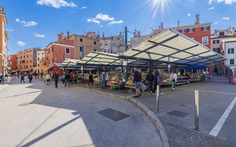 Ambient: Ricreazione, Tempo Libero, Shade, Mobili Da Esterno, Parco, Vacanza, Eco Hotel, Ricorrere, Deck