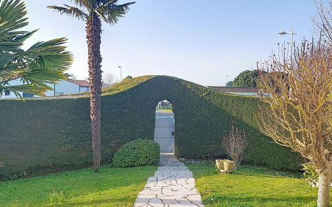 L'Allée: Verde, Arbusto, Hedge, Giardino, Passerella, Landscaping, Prato, Driveway, Sempreverde