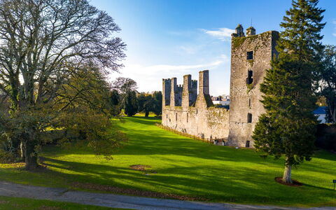 Castlemartyr Lodges (Tr4) No 1 (3 Bed): Erba, Verde, Paesaggio, Pascolo, Prato, Plain, Castello, Prato, Giardino