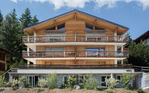Apollo 2: Legna, Casa, Balcone, Appartamento, Portico, Shade, Latifoglie, Legname, Design, Color Legno