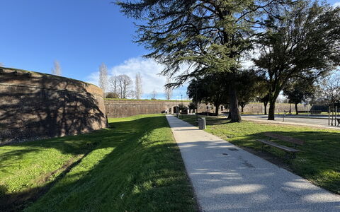 Casa Capolino: Erba, Albero, Prato, Passerella, Marciapiede, Landscaping, Giardino, Parco, Driveway, Ombra