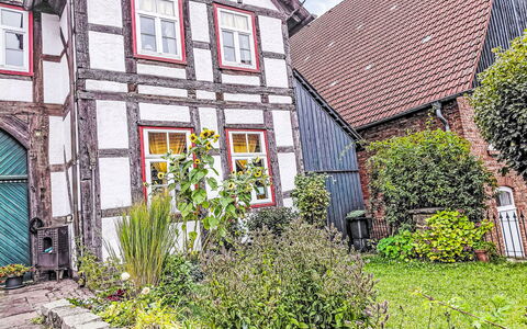 Schwalenberg 111: Arbusto, Casa, Casa, Giardino, Villetta, Cortile, Backyard, Landscaping, Vaso Di Fiori