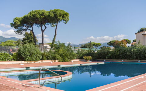 Appartamento Residence Henderson: Shade, Piscina, Landscaping, Hacienda, Eco Hotel, Resort Citta ', Ricorrere, Villa