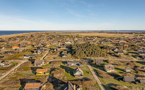 Amber - 300M from the Sea
