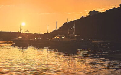 Shanty Cottage