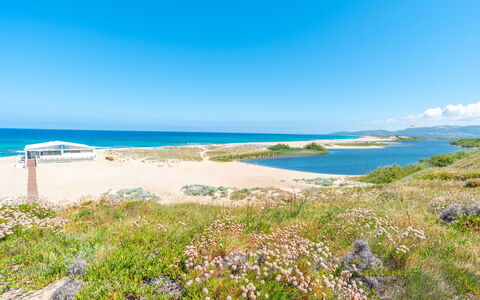 Granello di Sole: Blu, Acqua, Corpo D'Acqua, Costa, Spiaggia, Costiera E Morfologie Oceanic, Orizzonte, Riva, Mare, Banca