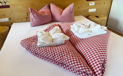 Alloggio:&nbsp;Almchalet Zillertal 675.1