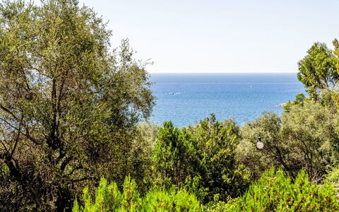 Casa del Mare: Blu, Verde, Foglia, Vegetazione, Comunita 'Impianto, Mare, Oceano, Riserva Naturale, Luce Del Sole, Costa