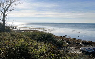 Sigbrit - 100M from the Sea