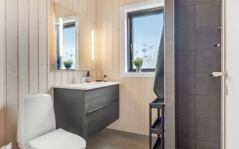 Jelisaveta - 45Km from the Sea: Pavimentazione, Pavimento, Idraulico Fixture, Interior Design, Gabinetto, Bagno, Legna, Toilet Seat, Lavello, Idraulico
