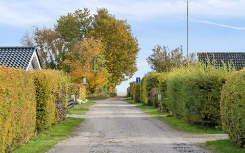 Elle - 175M from the Sea: Erba, Pascolo, Paesaggio, Ecoregione, Plain, Comunita 'Impianto, Lotto, Mobili Da Esterno, Prateria, Shrubland
