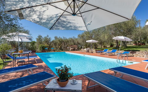 Castellina in Chianti 625: Congelamento, Inverno, Neve, Larice