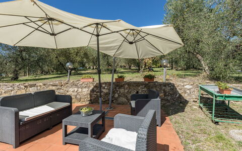 Castellina in Chianti 625: Congelamento, Inverno, Neve, Larice