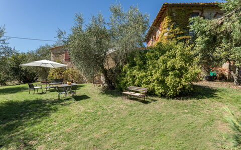 Castellina in Chianti 625: Congelamento, Inverno, Neve, Larice