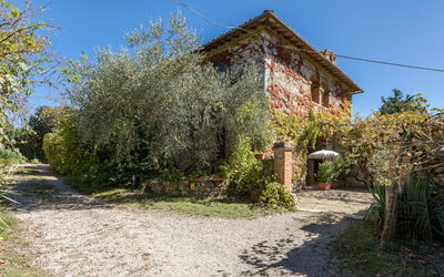 Alloggio:&nbsp;La Foresta 625.1