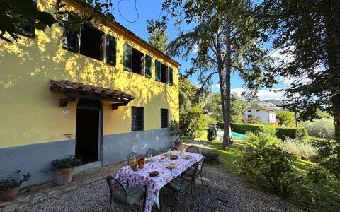 Allo Scoiattolo: Arbusto, Casa, Villetta, Giardino, Estate, Shade, Landscaping, Hacienda, Cortile, Backyard