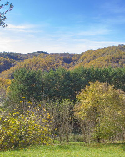A Il Frassino del Borgo di Ghiora