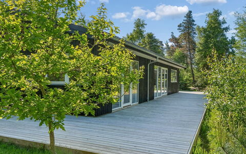 Amitola - 800M from the Sea: Verde, Arbusto, Groundcover, Primavera, Villetta, Giardino, Shade, Raccordo, Landscaping, Edifici Giardino