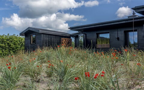 Solfrid - 900M from the Sea: Blu, Arbusto, Villetta, Groundcover, Giardino, Estate, Shade, Landscaping, Agriturismo, Eco Hotel