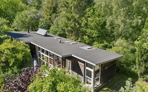 Ellenora - 1.7Km from the Sea: Architettura, Casa, Arbusto, Lotto, Groundcover, Villetta, Estate, Giardino, Raccordo, Shade