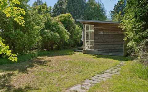 Ellenora - 1.7Km from the Sea: Legna, Arbusto, Lotto, Giardino, Capannone, Edifici Giardino, Villetta, Porta, Groundcover, Primavera