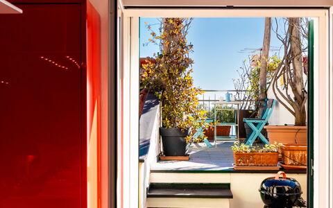 Terrazza con Glicine: Vaso Di Fiori, Pianta Della Casa, Color Legno, Balcone, Latifoglie, Sedia, Eco Hotel, Vernice, Porta A Casa, Pavimento In Legno