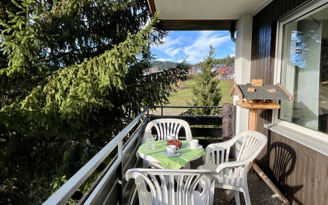 Sonnige Aussichten: Mobilia, Sedia, Portico, Mobili Da Esterno, Balcone, Cucina & Sala Da Pranzo Tavolo, Shade, Cortile, Color Legno