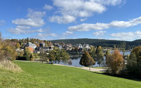 Sonnige Aussichten: Natura, Paesaggio, Banca, Lago, Serbatoio, Prato, Prato, Lago