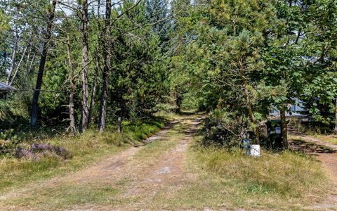 Reinhardt - 800M from the Sea: Villetta, Backyard, Cortile, Edifici Giardino, Capannone, Raccordo, Mobili Da Esterno, Log Cabin, Struttura Esterna, Baracca