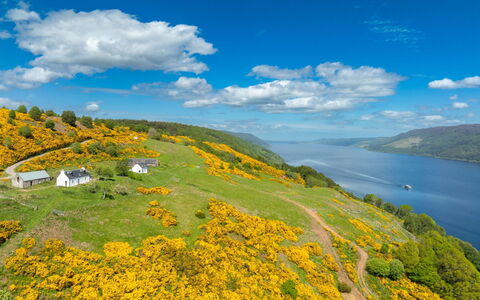 Wester Bunloit: Verde, Geografia Montane, Giallo, Paesaggio Naturale, Collina, Highland, Paesaggio, Pascolo, Lago, Wildflower