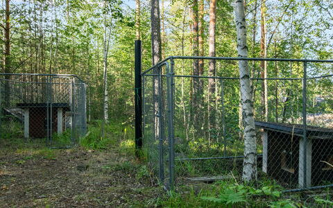Susiranta: Comunita 'Impianto, Maglia, Foresta, Chain-Link Scherma, Woodland, Recinzione, Recinzione, Boschetto, Nord Foresta Di Latifoglie