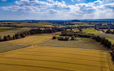 Alloggio:&nbsp;Teutoburger Wald 1 196.1