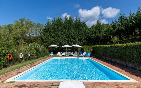 Mulino di Carpineto with Pool Gaiole in Chianti: Piscina, Ricorrere, Mobili Da Esterno, Eco Hotel, Giardino, Shade, Lettino, Landscaping, Terme, Hacienda