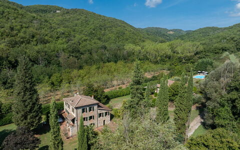 Mulino di Carpineto with Pool Gaiole in Chianti: Ambiente Naturale, Vegetazione, Casa, Casa, Paesaggio, Area Rurale, Arbusto, Zona Residenziale, Foresta, Comunita 'Impianto