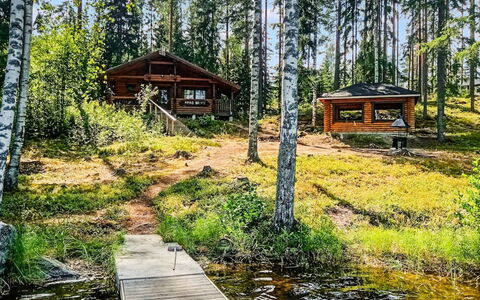 Villa Saimaa: Albero, Legna, Paesaggio Naturale, Paesaggio, Foresta, Woodland, Banca, Comunita 'Impianto, Villetta
