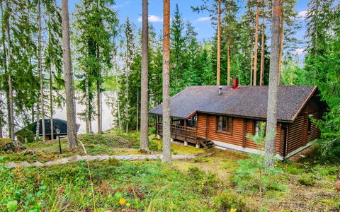 Villa Saimaa: Albero, Legna, Villetta, Casa, Woodland, Foresta, Comunita 'Impianto, Log Cabin, Tronco, Larice