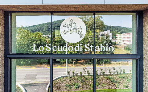 Stabio 1: Interior Design, Parete, Pavimentazione, Legna, Soffitto, Mobilia, Pavimento, Camera, Illuminazione, Appartamento