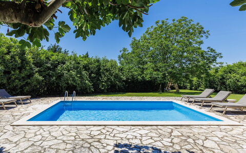 Elli: Blu, Piscina, Ricorrere, Shade, Mobili Da Esterno, Giardino, Eco Hotel, Landscaping, Backyard, Villa