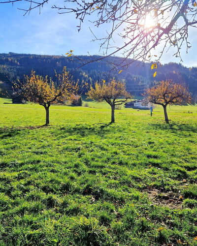 Weerberg 1